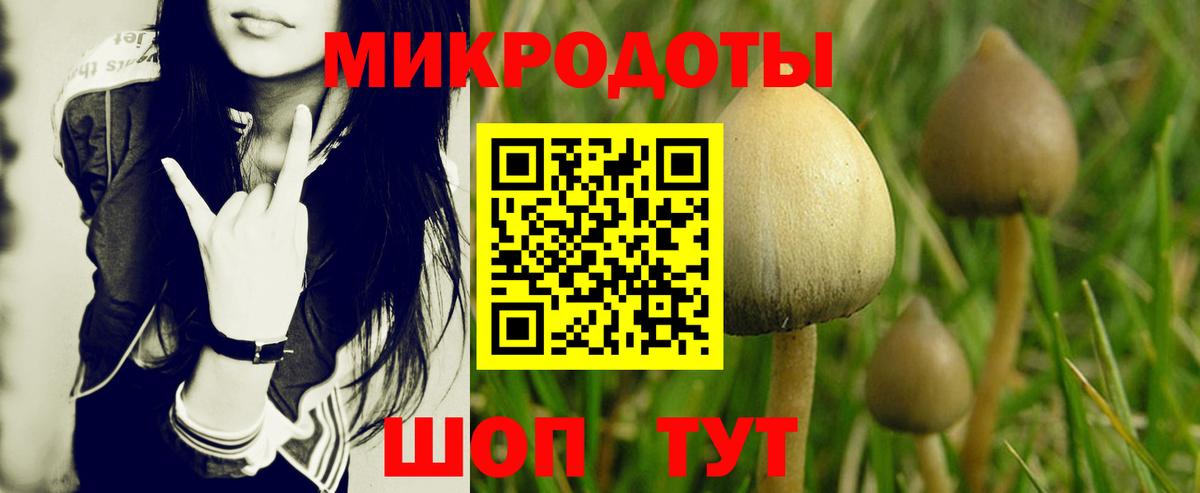 Галлюциногенные грибы GOLDEN TEACHER  Вход с VPN  Ковров  Псилоцибиновые грибы Psilocybine cubensis 